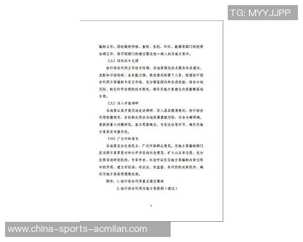 青少年体育俱乐部章程的制定与实施指南与建议 青少年体育俱乐部章程的制定与实施指南与建议